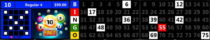 MaxFlash™ is a versatile video flashboard system designed to bring the classic bingo experience.